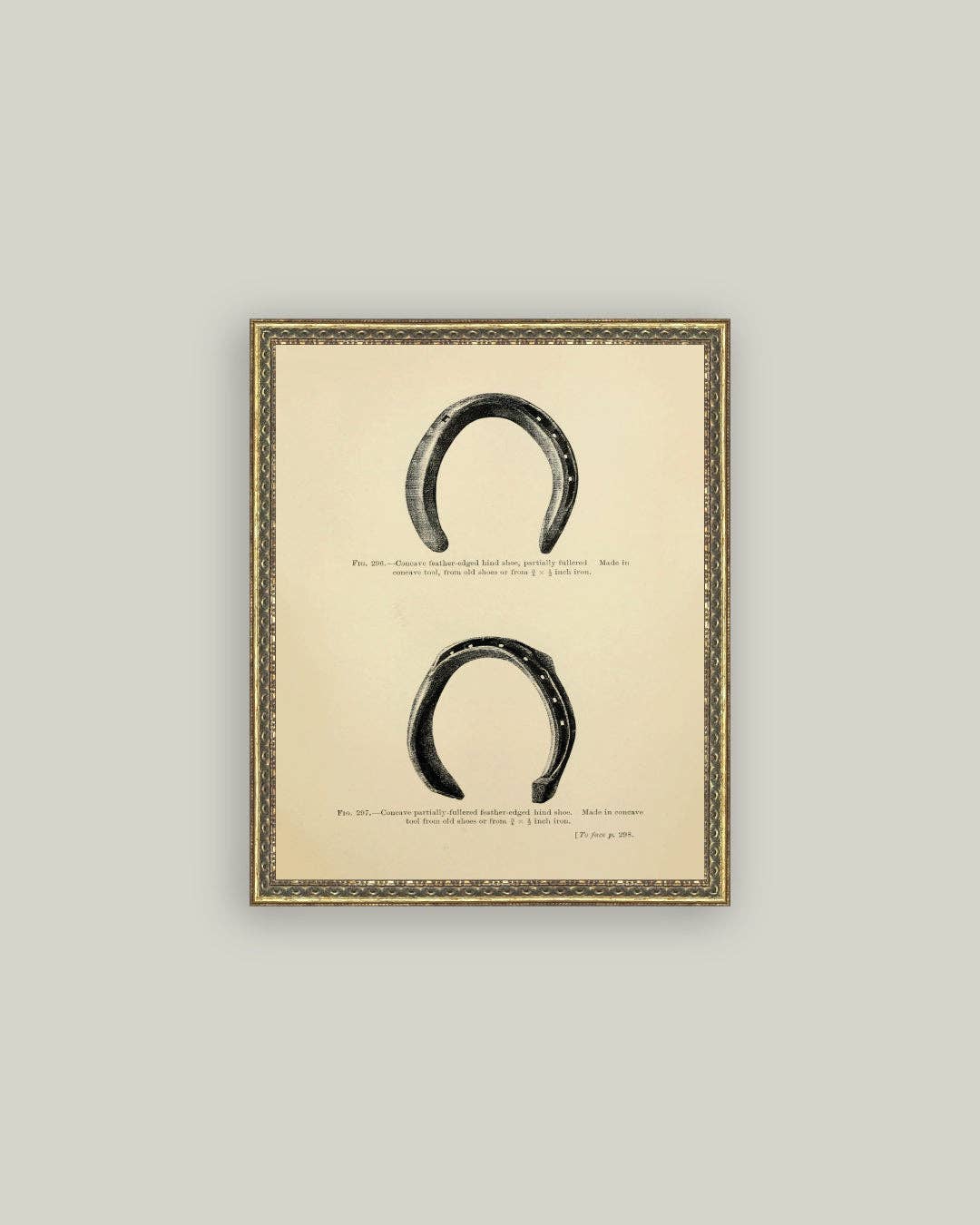 Horse Shoe Study: 8x10