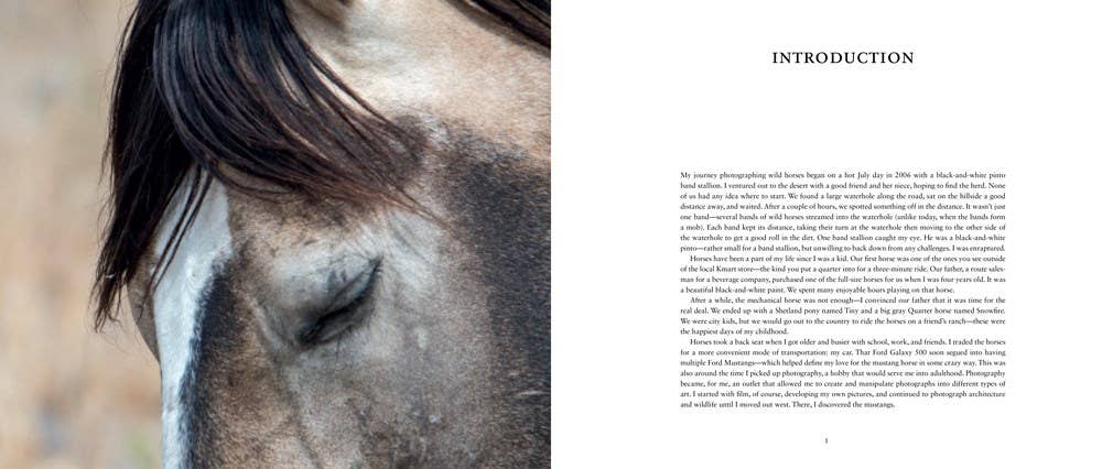 Wild Horses of the West by Jan Drake