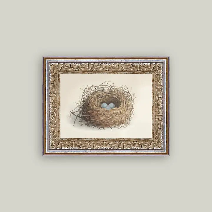 Framed Antique Prints and Photo Frames