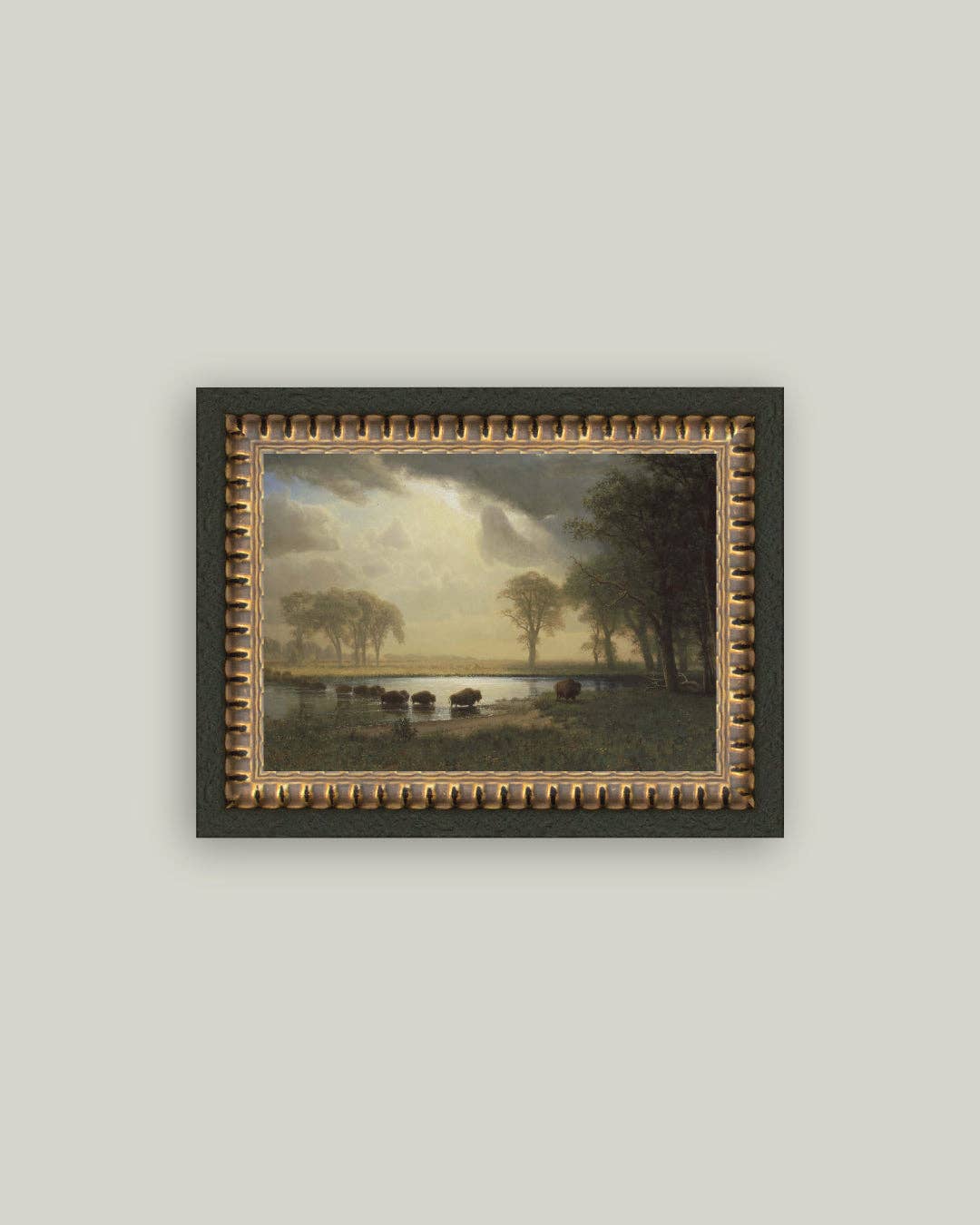 Buffalo Trail: 12x7