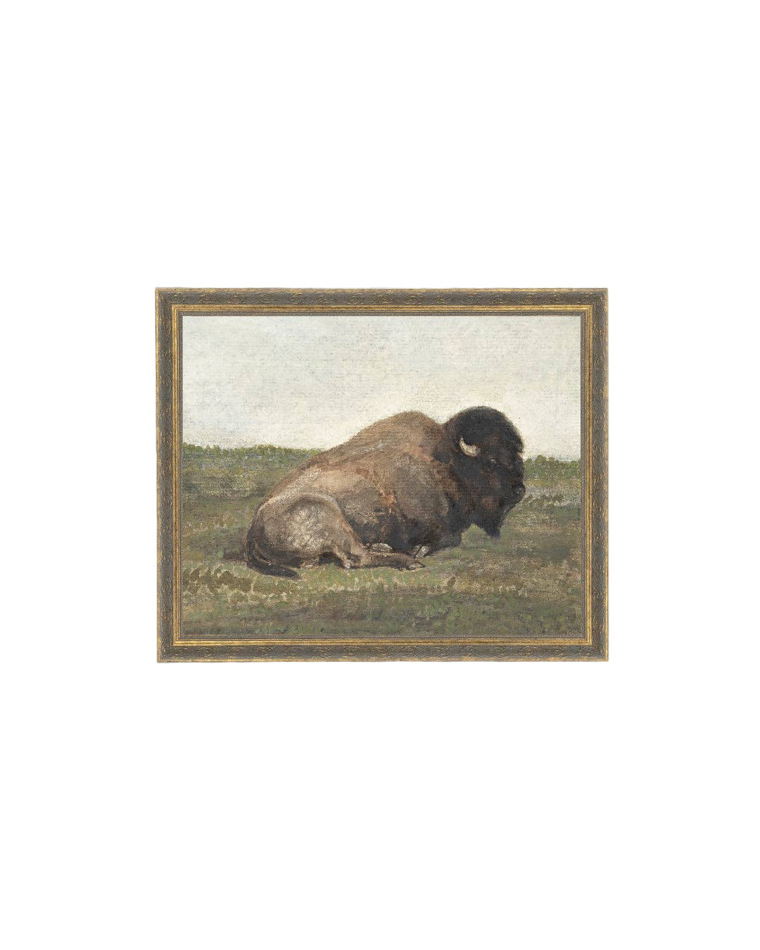 Resting Bison Framed Art
