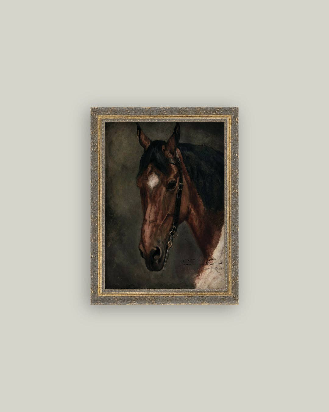 Horse Portrait: 5x7