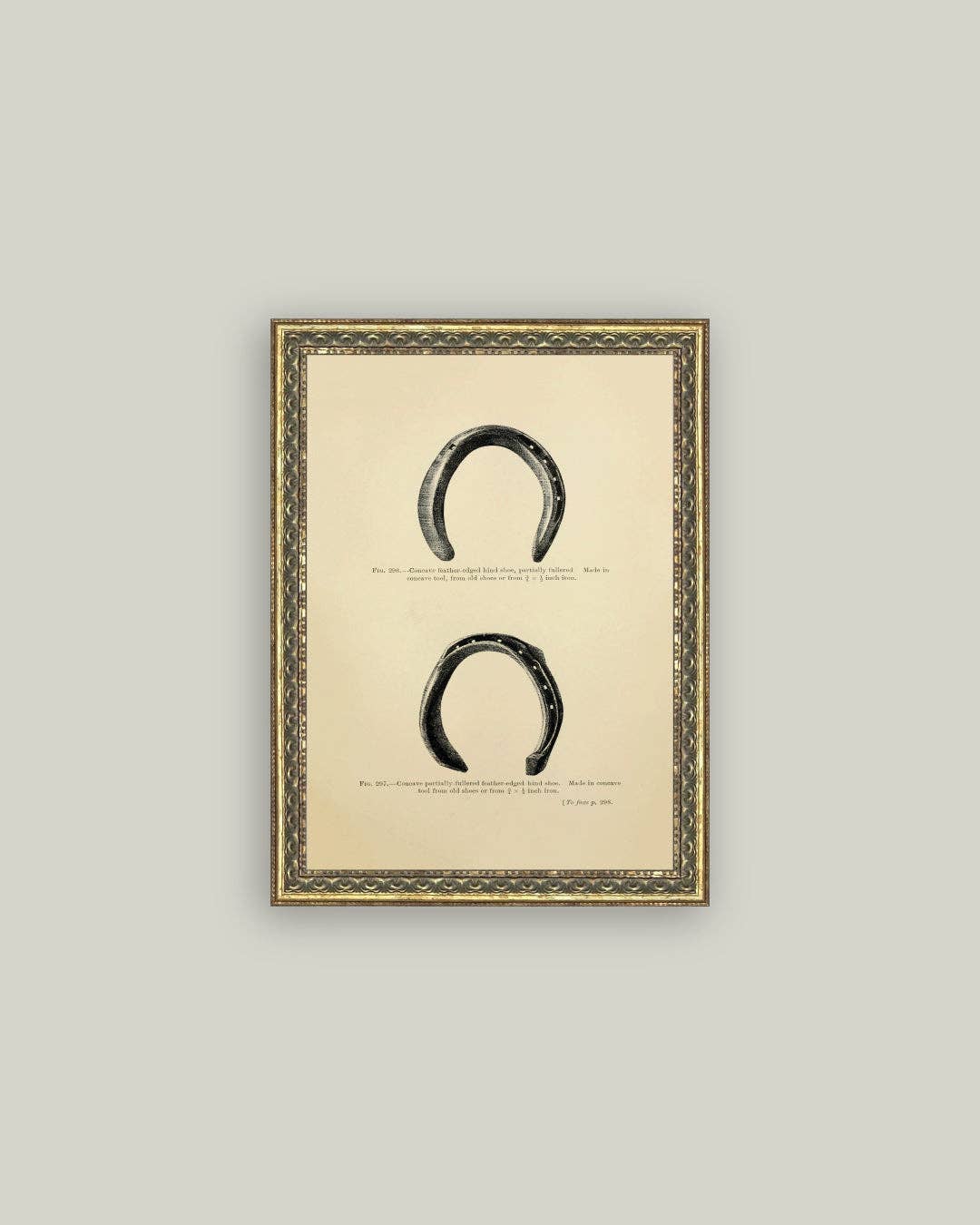 Horse Shoe Study: 8x10