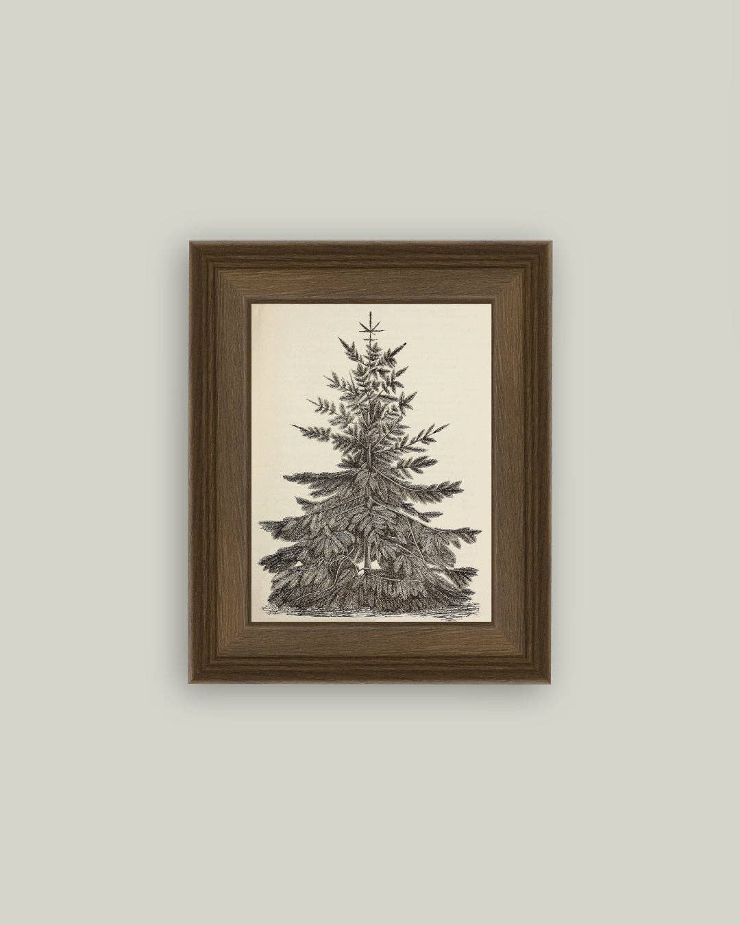 Pine Tree Framed Art