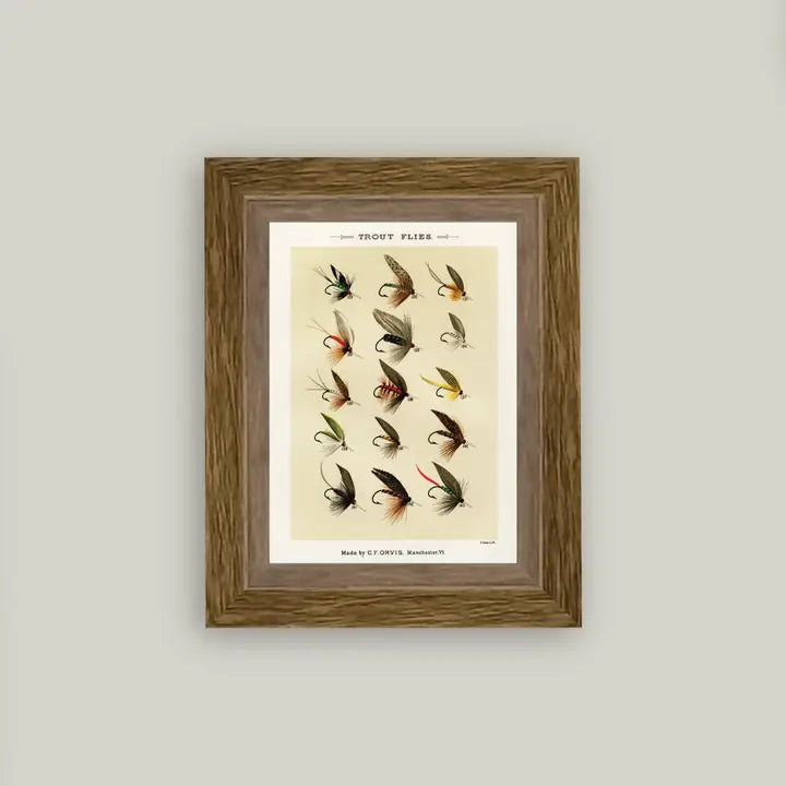 Framed Antique Prints and Photo Frames