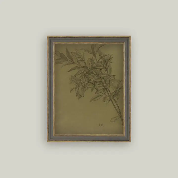 Framed Antique Prints and Photo Frames