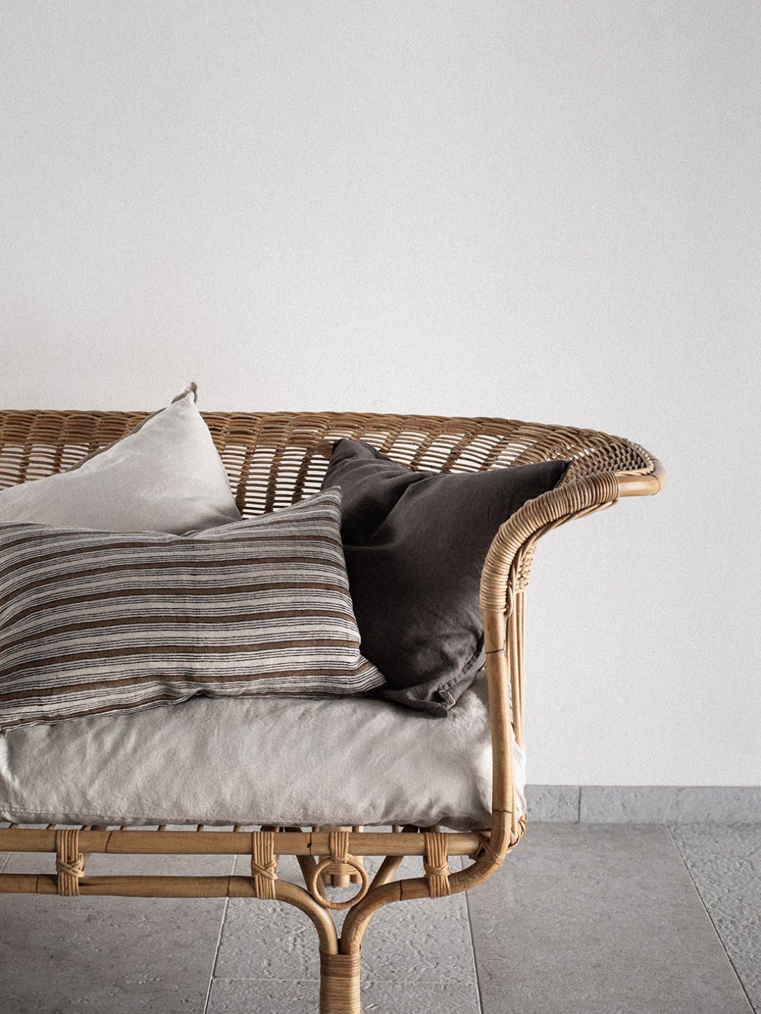 Dino Throw Pillow