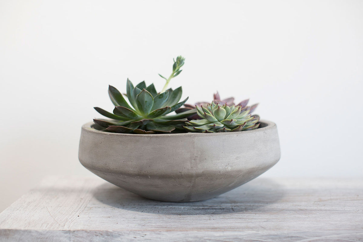 Newport Low Bowl