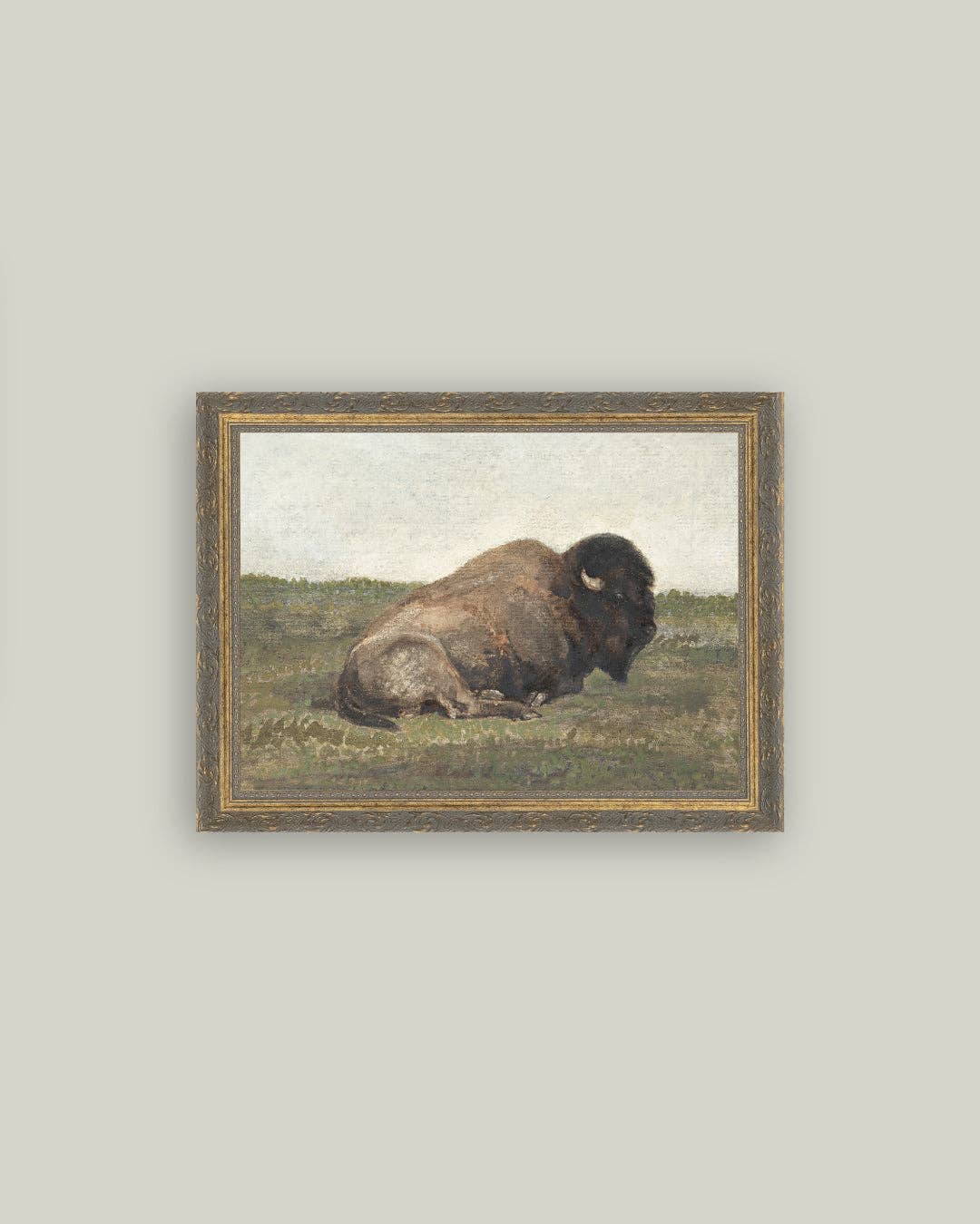 Resting Bison Framed Art