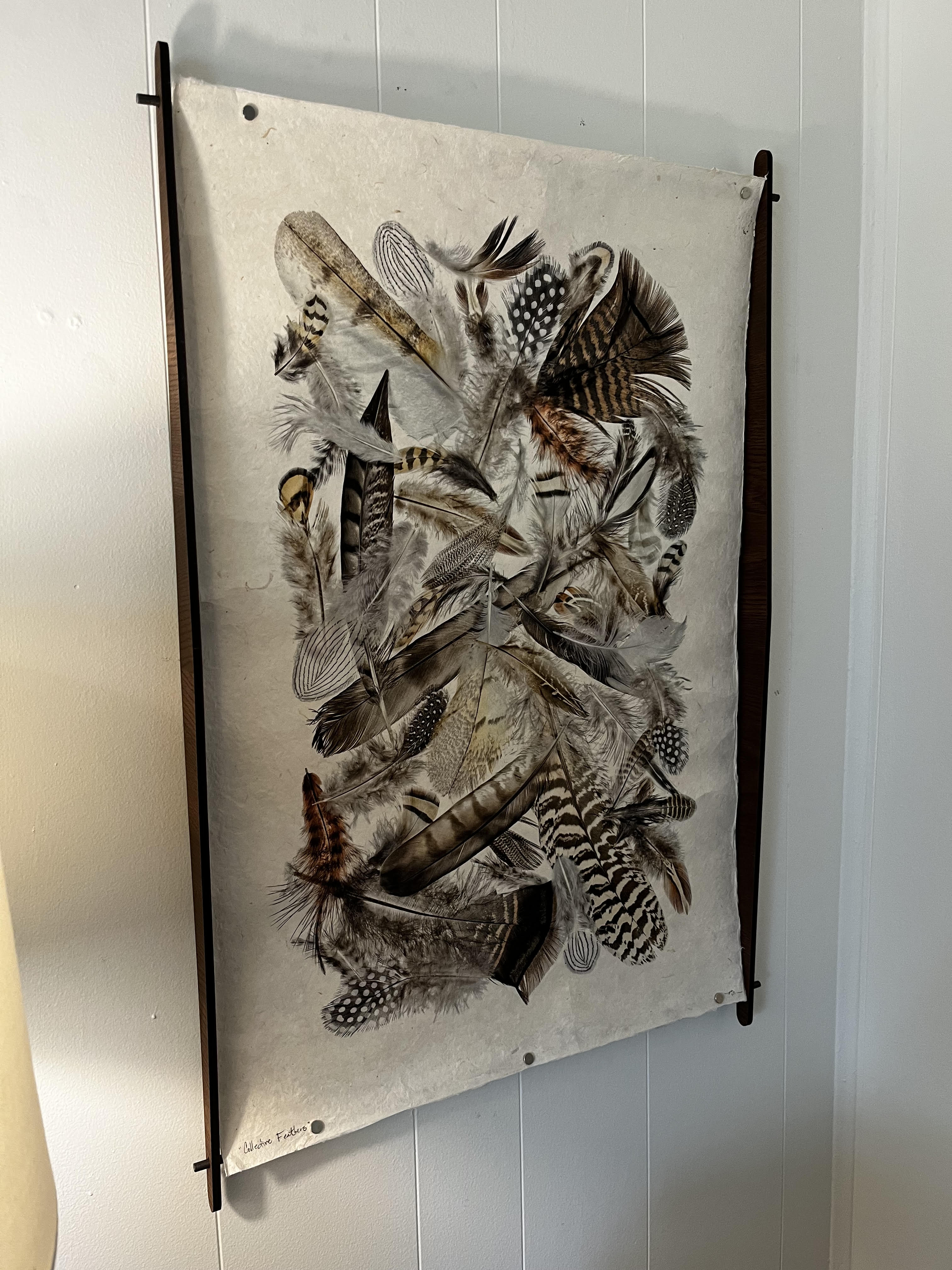 Collective Feathers