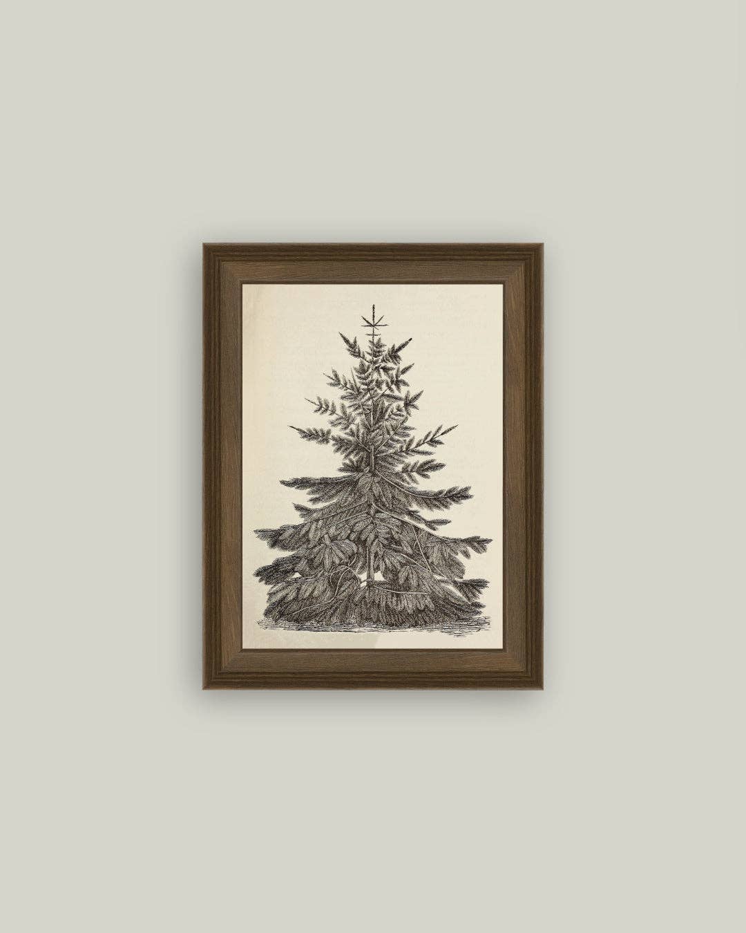 Pine Tree Framed Art