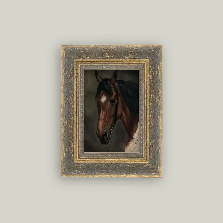 Framed Antique Prints and Photo Frames