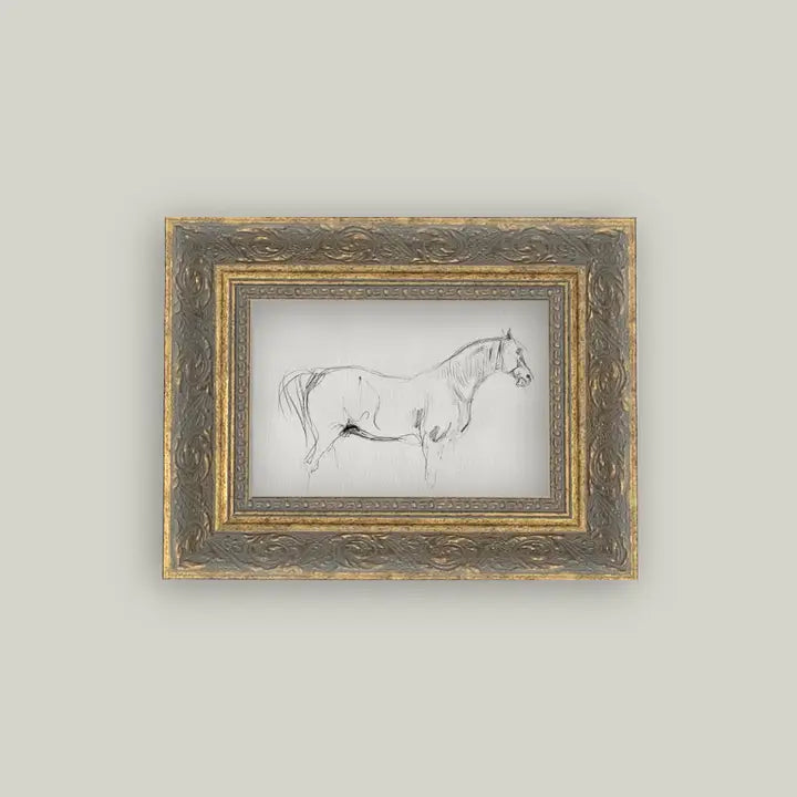 Framed Antique Prints and Photo Frames