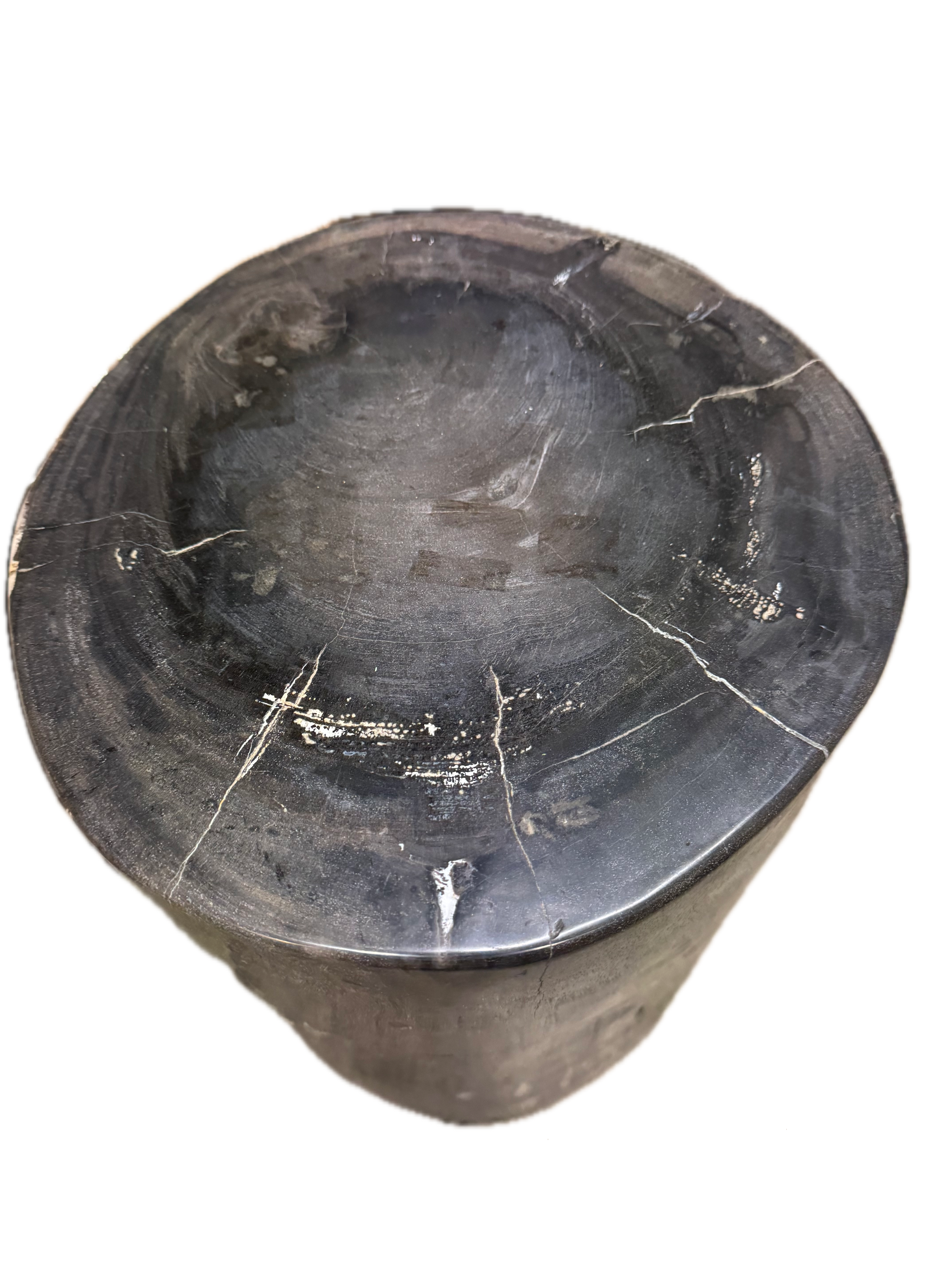 Petrified Side Table