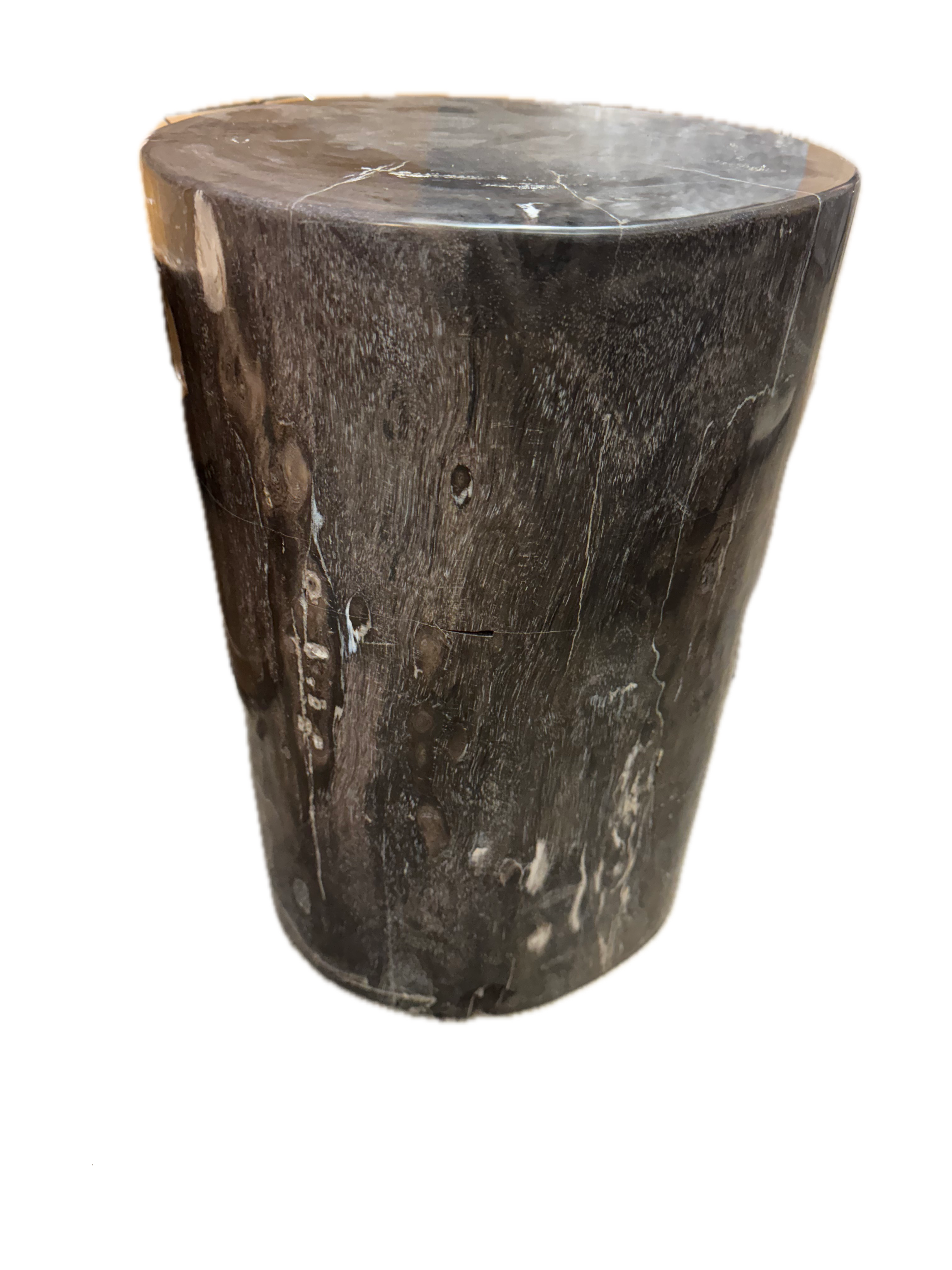 Petrified Side Table