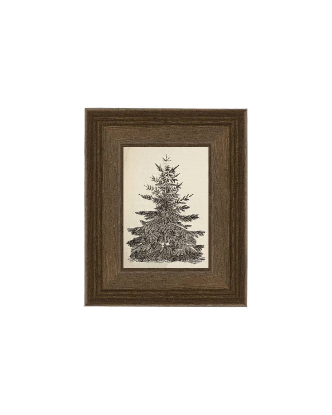 Vintage Pine Tree Framed Antique Art