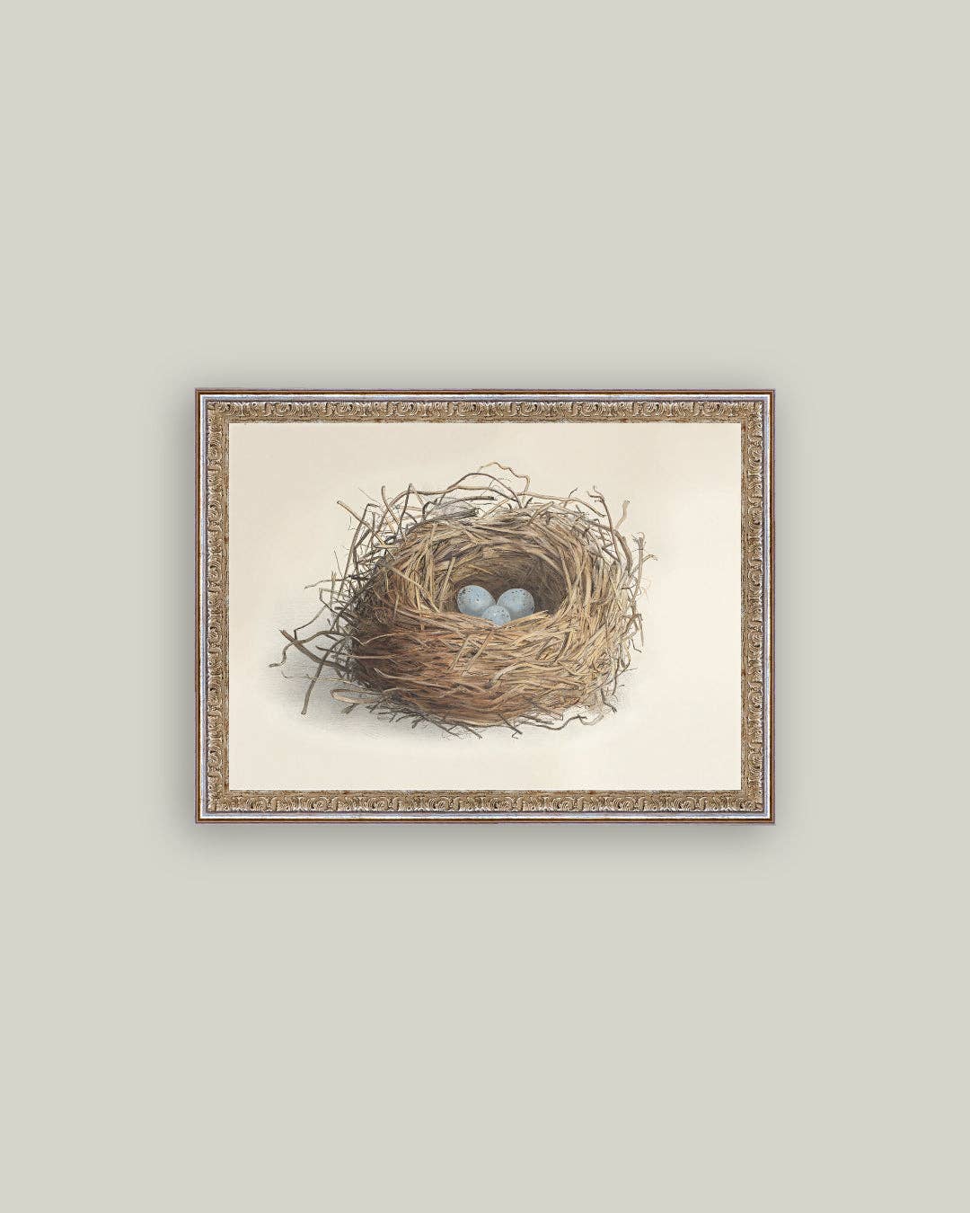 Blue Eggs in a Nest Framed Antique Art: 7x5