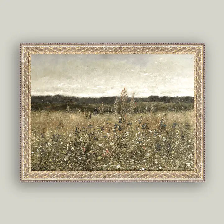 Framed Antique Prints and Photo Frames