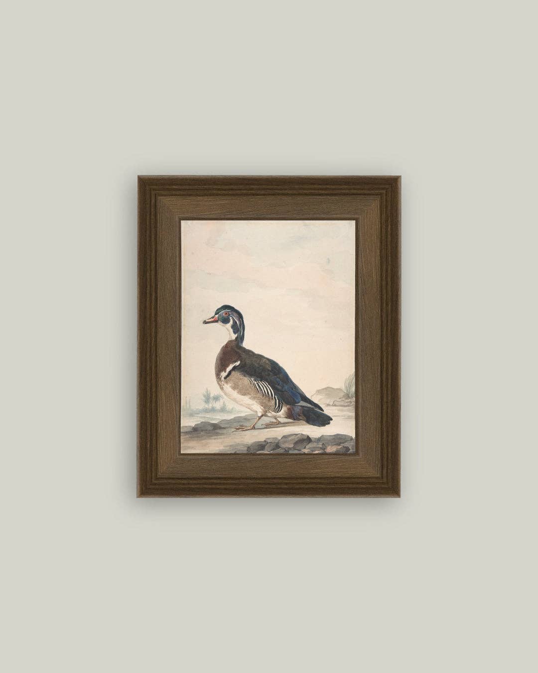 A Duck Framed Antique Art: 18x22