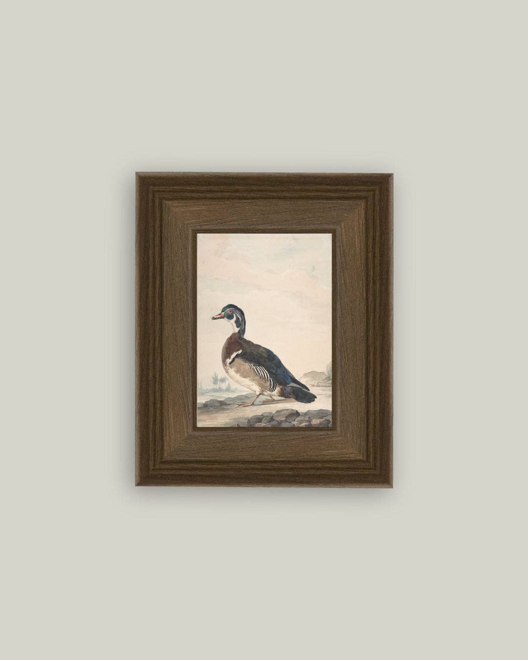 A Duck Framed Antique Art: 18x22