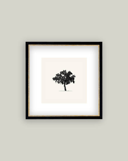 Tree Framed Antique Art: 15x15