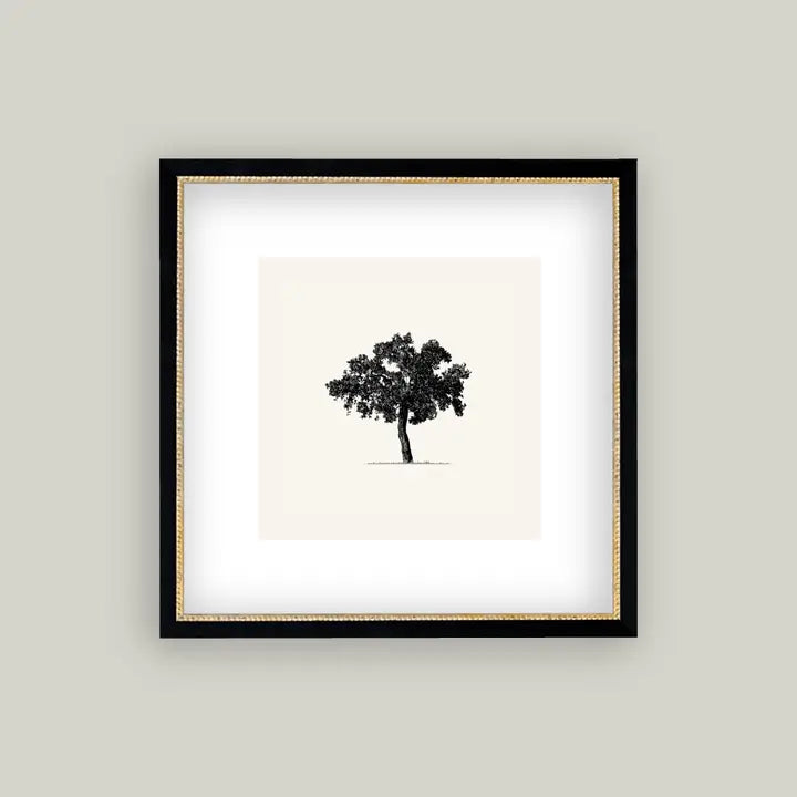 Framed Antique Prints and Photo Frames