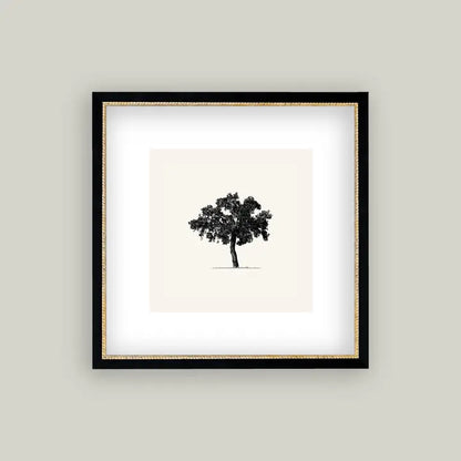 Framed Antique Prints and Photo Frames
