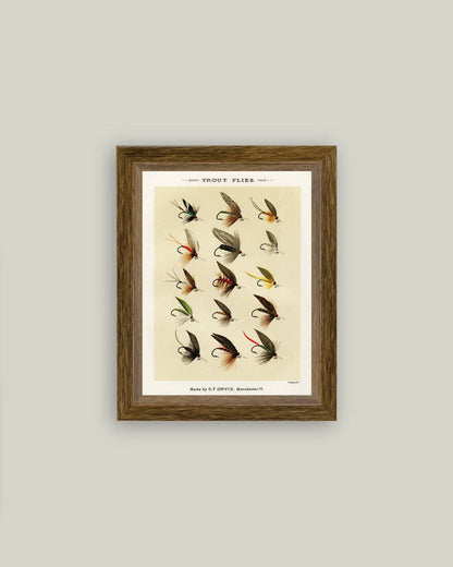 Trout Flies Framed Antique Art