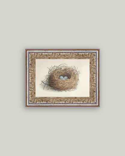 Blue Eggs in a Nest Framed Antique Art: 7x5