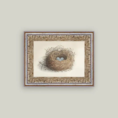 Framed Antique Prints and Photo Frames