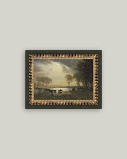 Buffalo Trail: 12x7