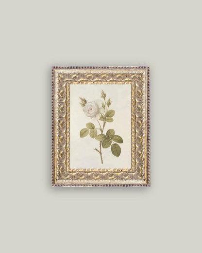 Misty Rose Framed Antique Art: 12x16
