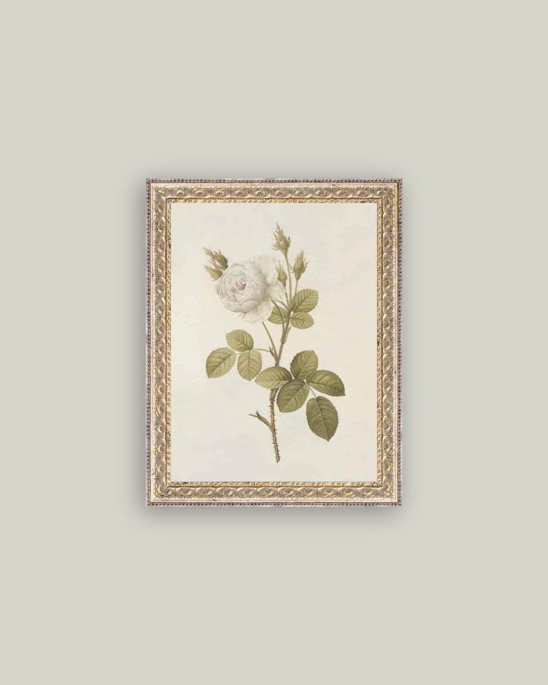 Misty Rose Framed Antique Art: 12x16