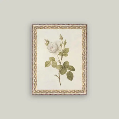 Framed Antique Prints and Photo Frames