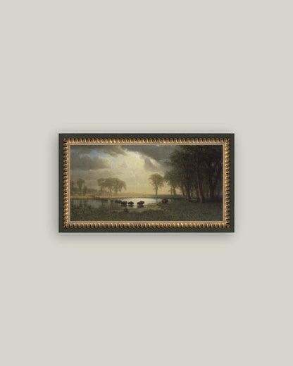 Buffalo Trail: 12x7