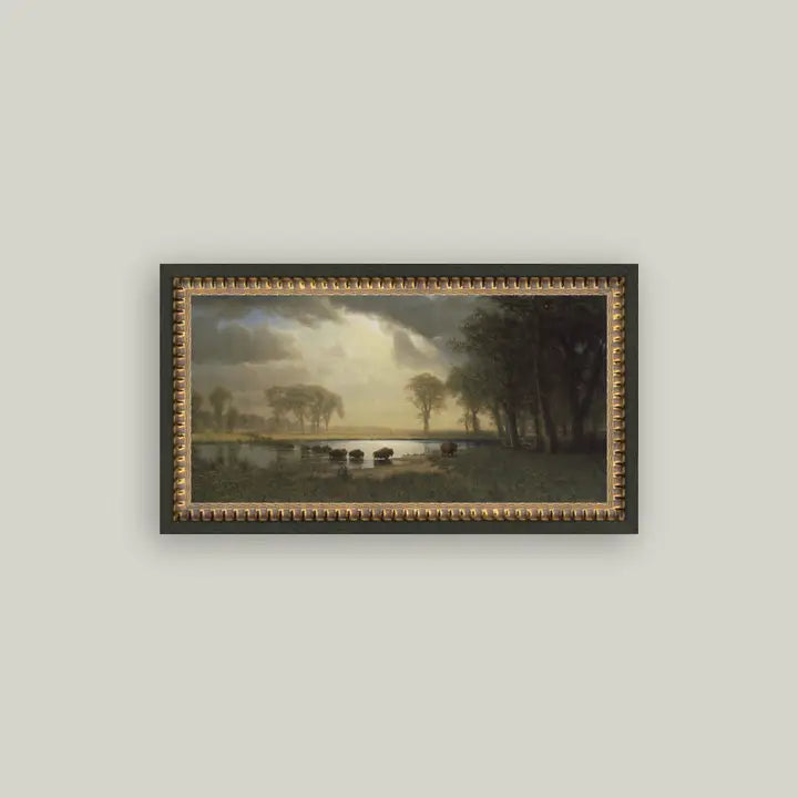 Framed Antique Prints and Photo Frames