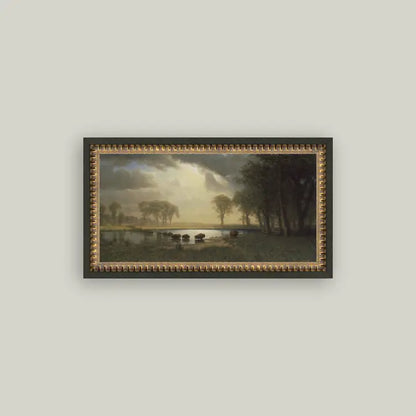 Framed Antique Prints and Photo Frames