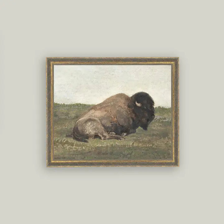 Framed Antique Prints and Photo Frames