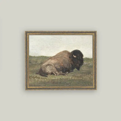 Framed Antique Prints and Photo Frames