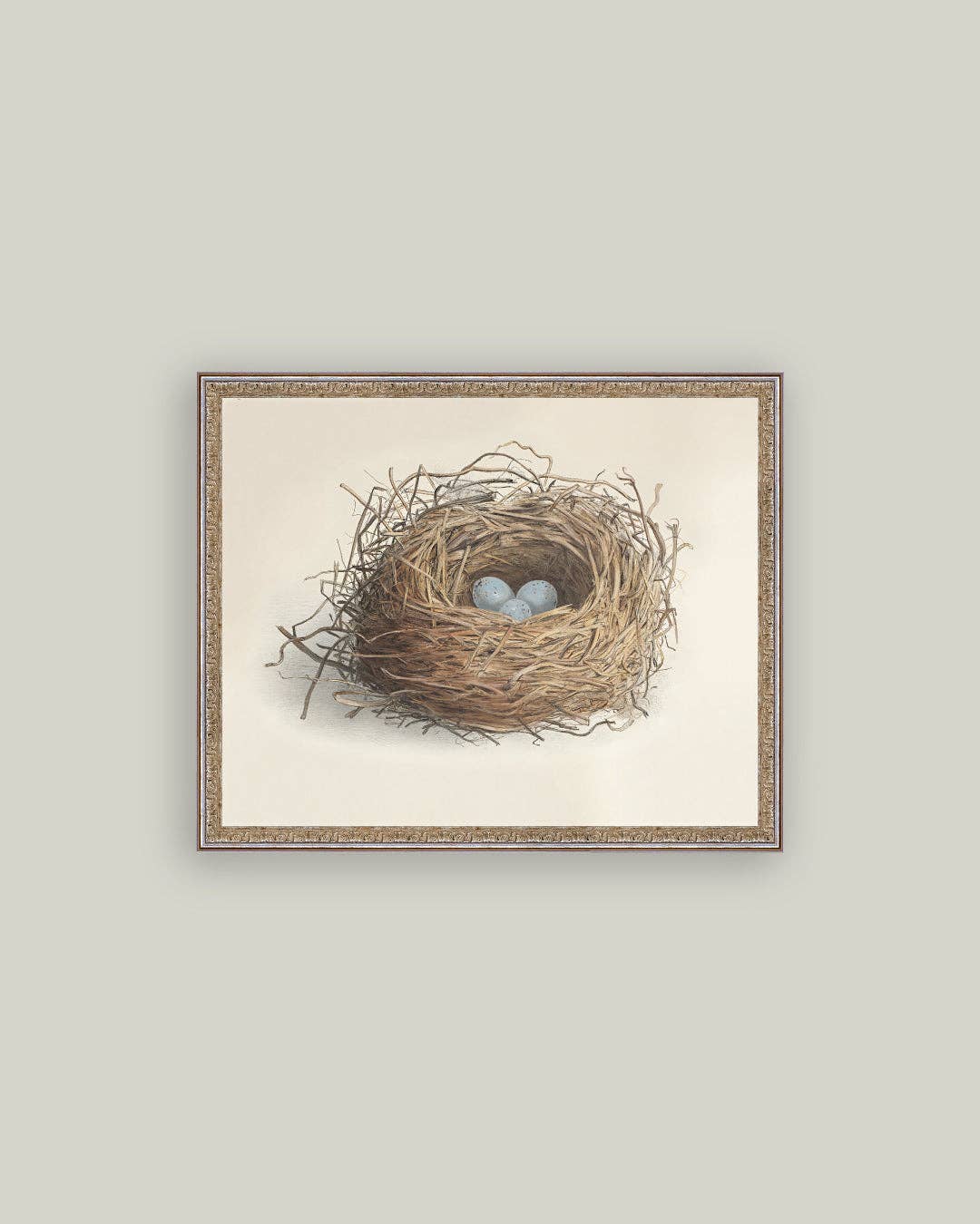 Blue Eggs in a Nest Framed Antique Art: 7x5