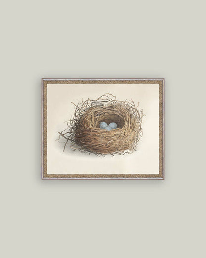Blue Eggs in a Nest Framed Antique Art: 7x5