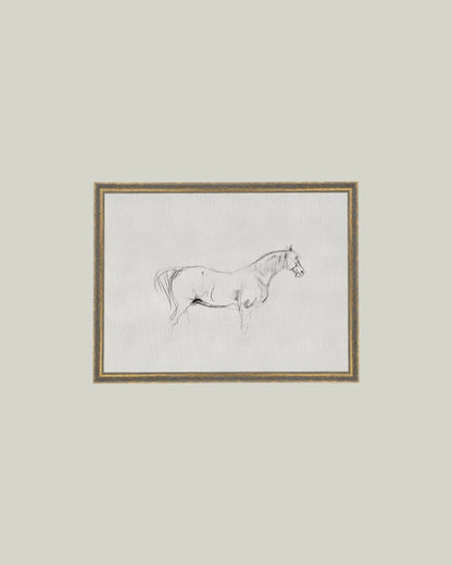 Horse Sketch Framed Antique Art: 7x5
