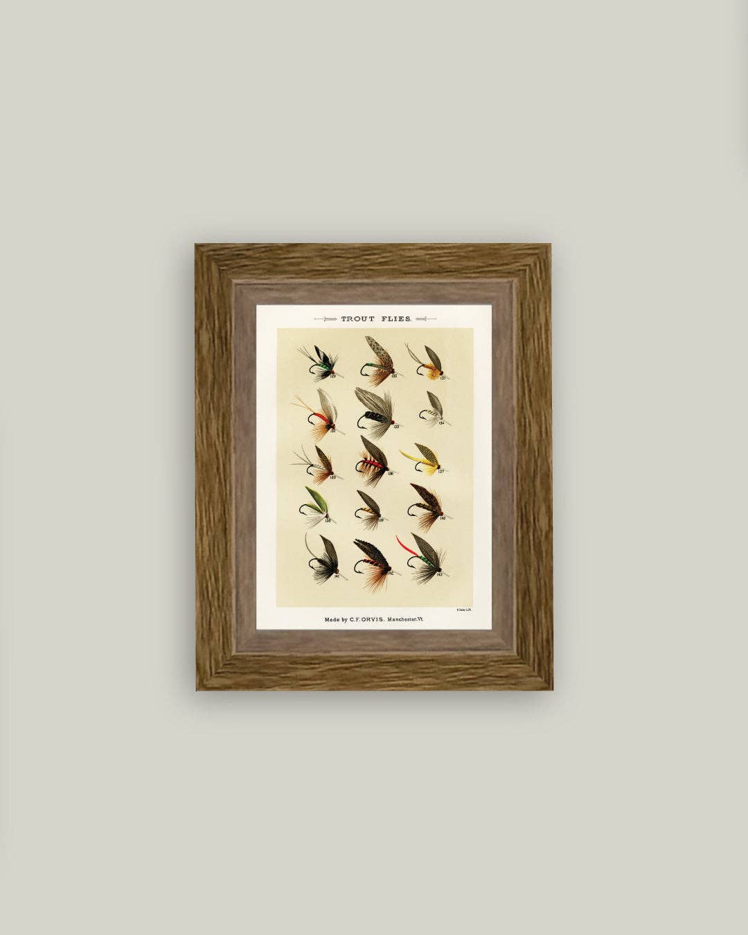 Trout Flies Framed Antique Art
