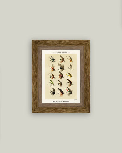 Trout Flies Framed Antique Art