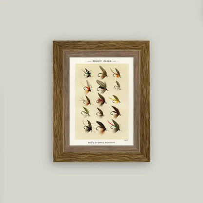 Framed Antique Prints and Photo Frames