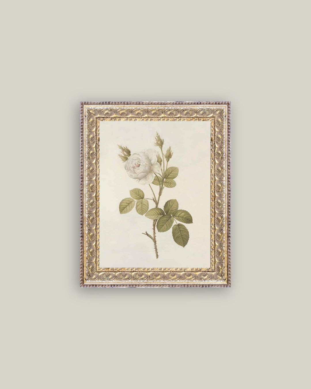 Misty Rose Framed Antique Art: 12x16