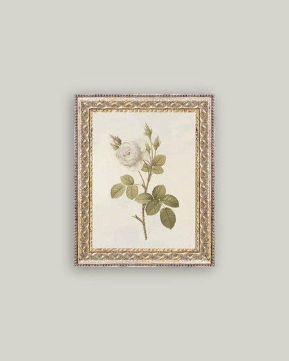 Misty Rose Framed Antique Art: 12x16