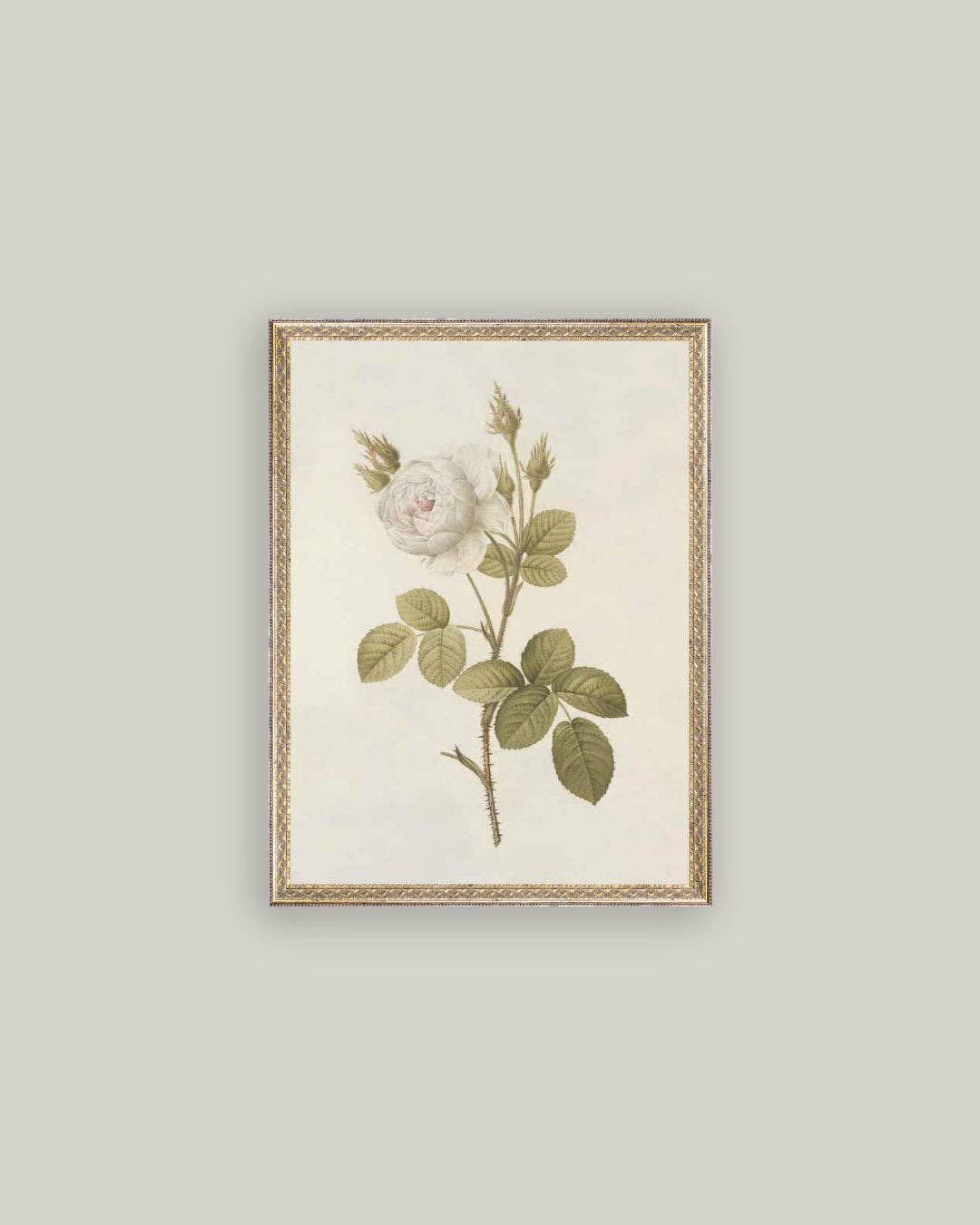 Misty Rose Framed Antique Art: 12x16