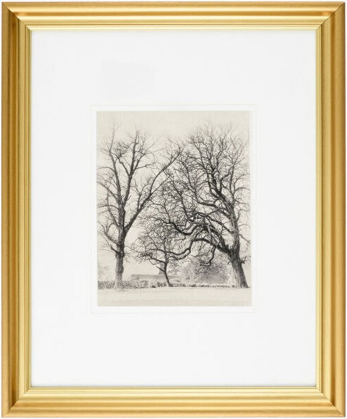 Coconino Framed Art - Three Trees