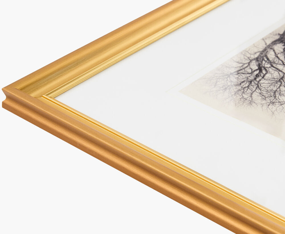 Coconino Framed Art - Three Trees